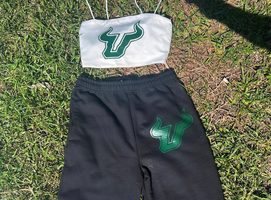 USF SWEAT SET